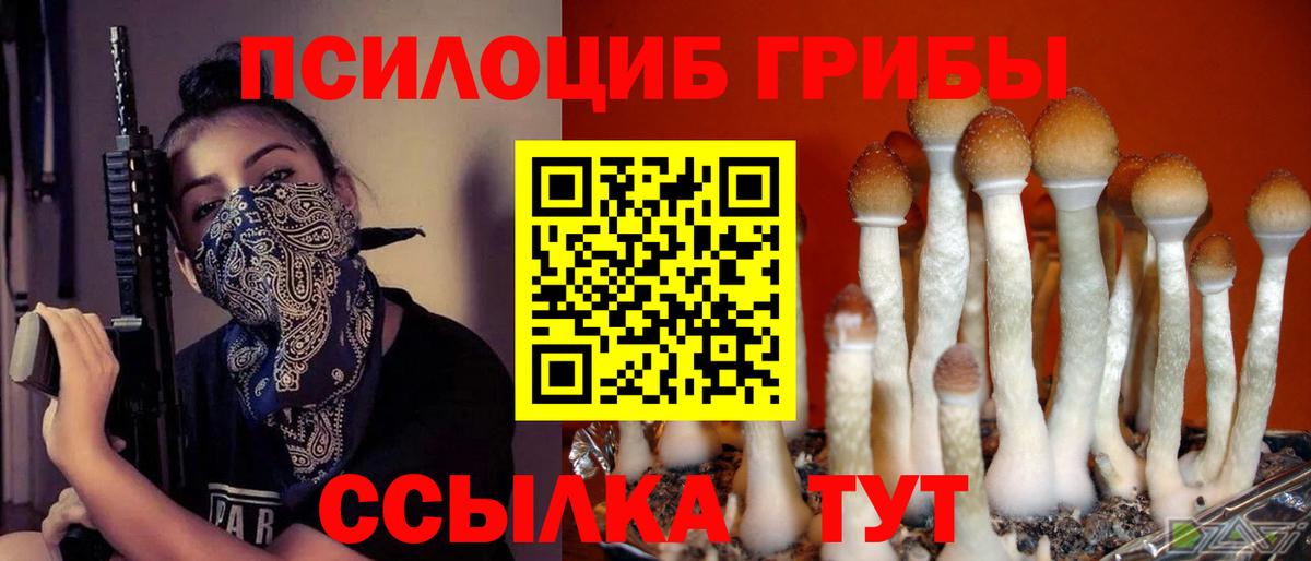 Галлюциногенные грибы MAGIC MUSHROOMS  Вход с VPN  Новокубанск 